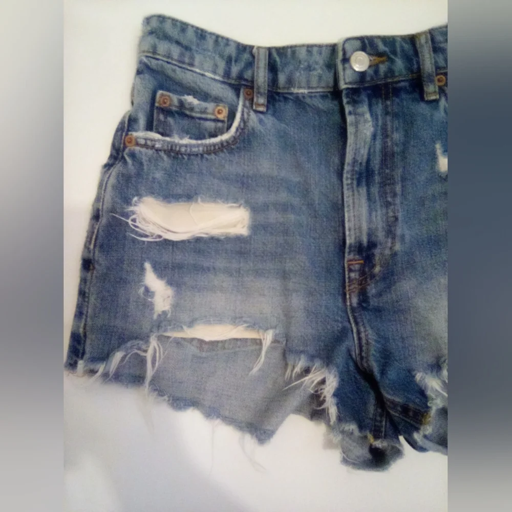 Zara The HW Short Size 4 Distressed Casual Summer Vacation